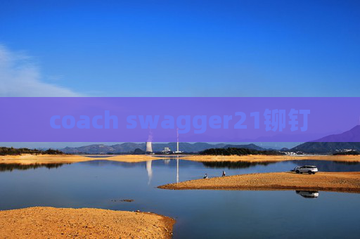 coach swagger21铆钉